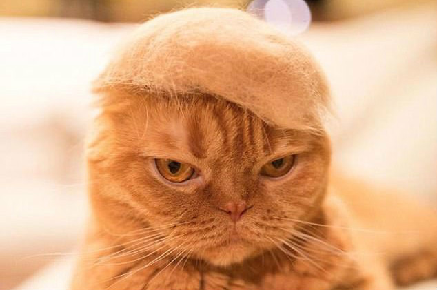 $!title_without_url!$