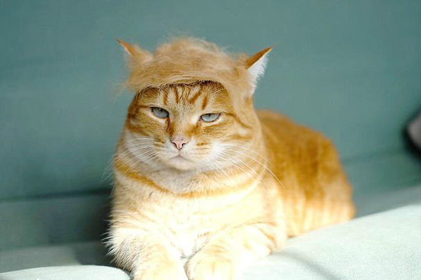 $!title_without_url!$