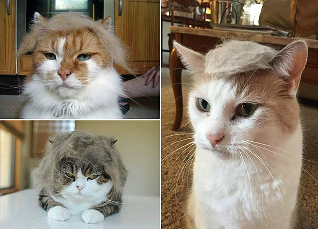 $!title_without_url!$