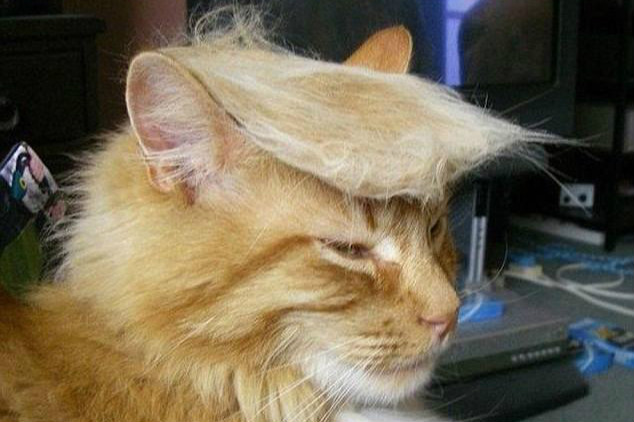 $!title_without_url!$