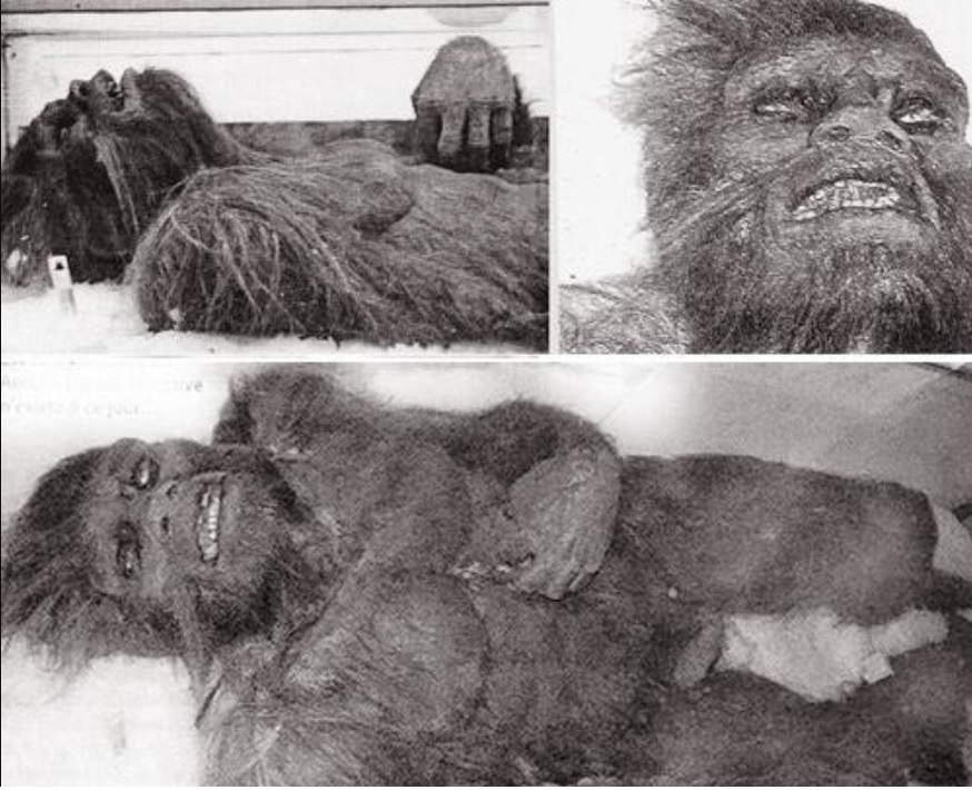 $!title_without_url!$