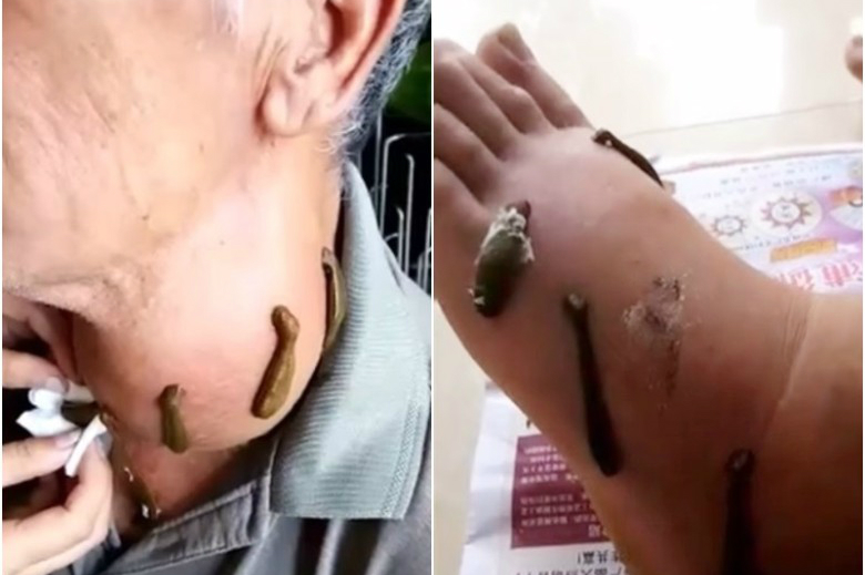 $!title_without_url!$