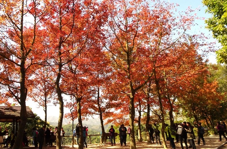 $!title_without_url!$