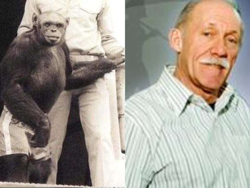 $!title_without_url!$