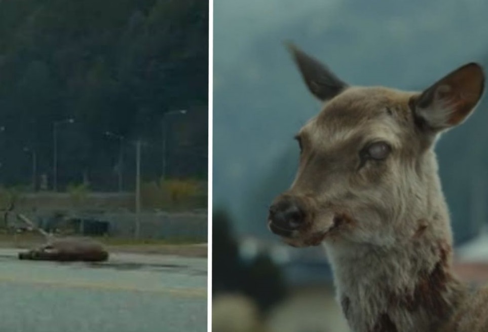 $!title_without_url!$