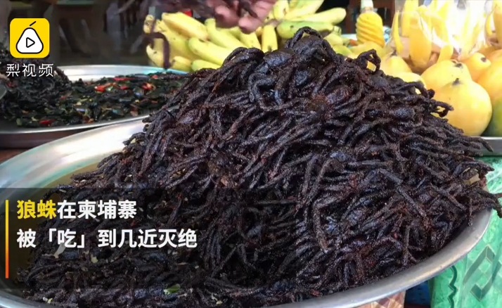 $!title_without_url!$