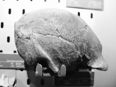 $!title_without_url!$