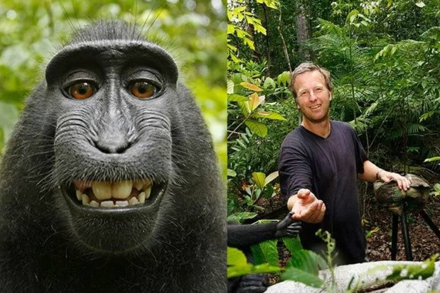 $!title_without_url!$