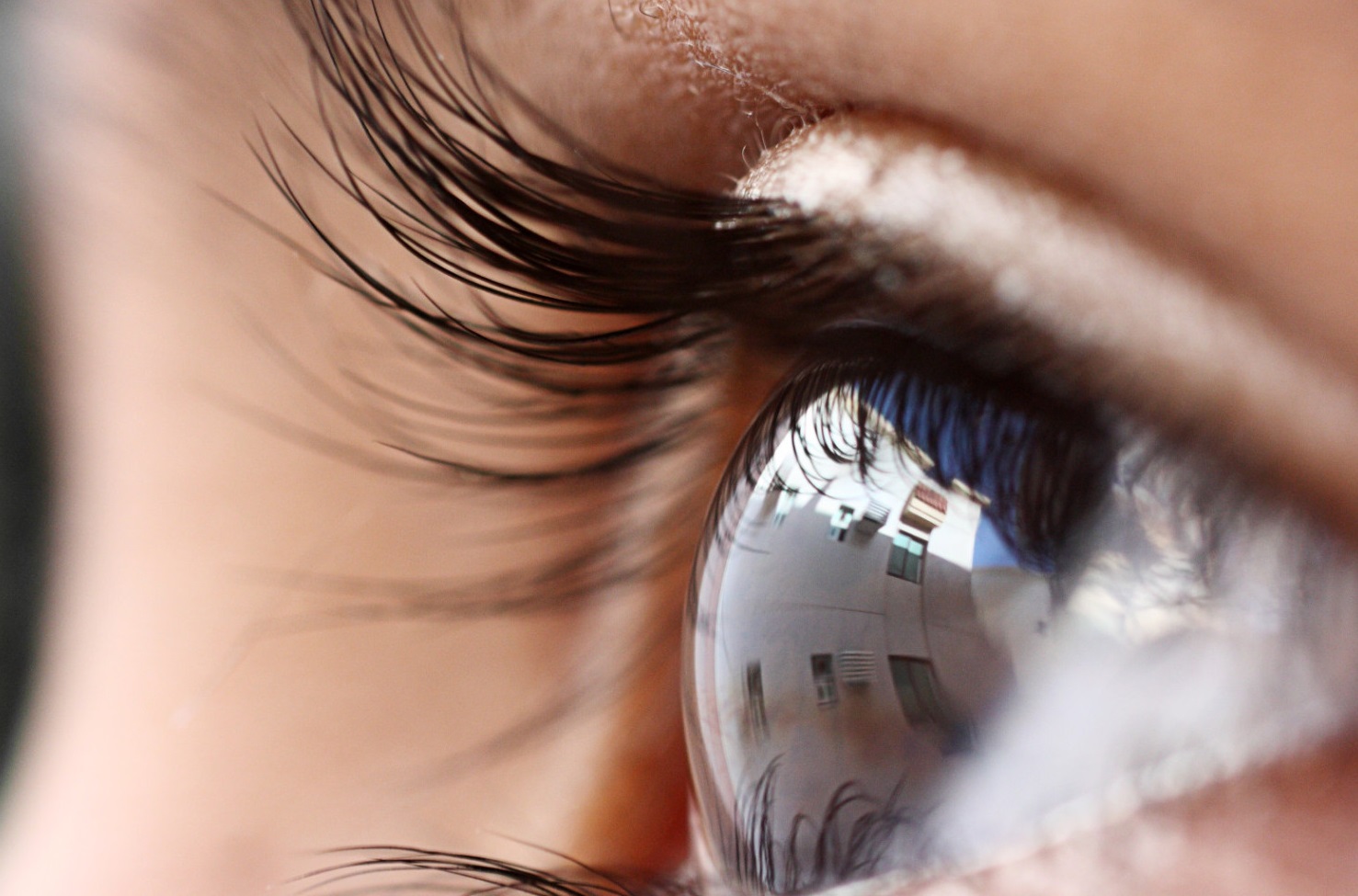 $!title_without_url!$