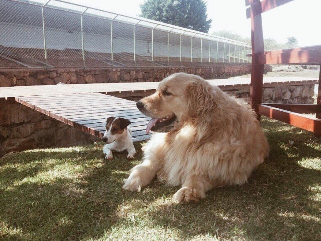 $!title_without_url!$