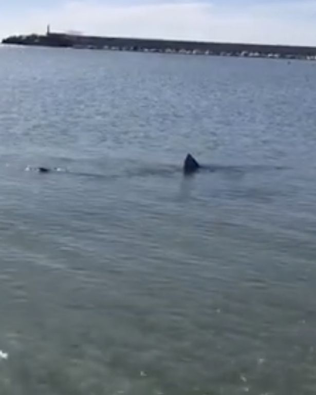 $!title_without_url!$