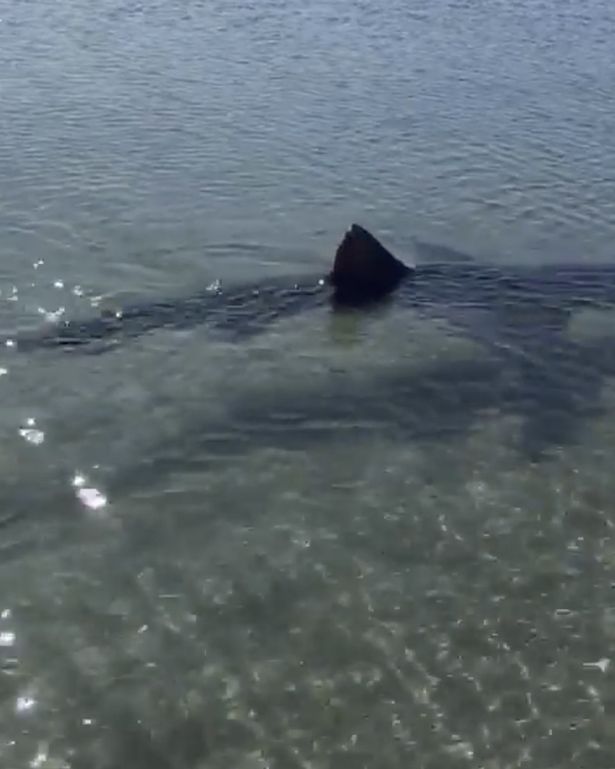 $!title_without_url!$