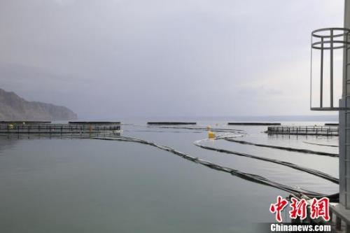 $!title_without_url!$