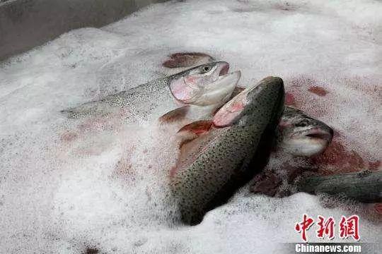 $!title_without_url!$