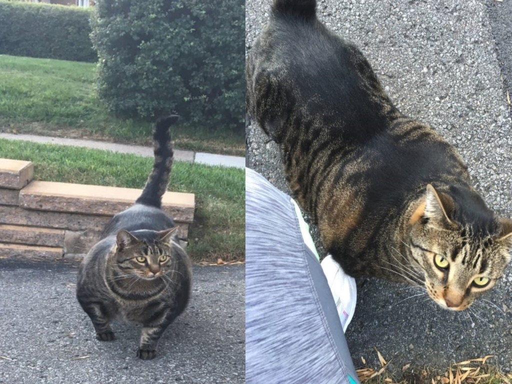 $!title_without_url!$