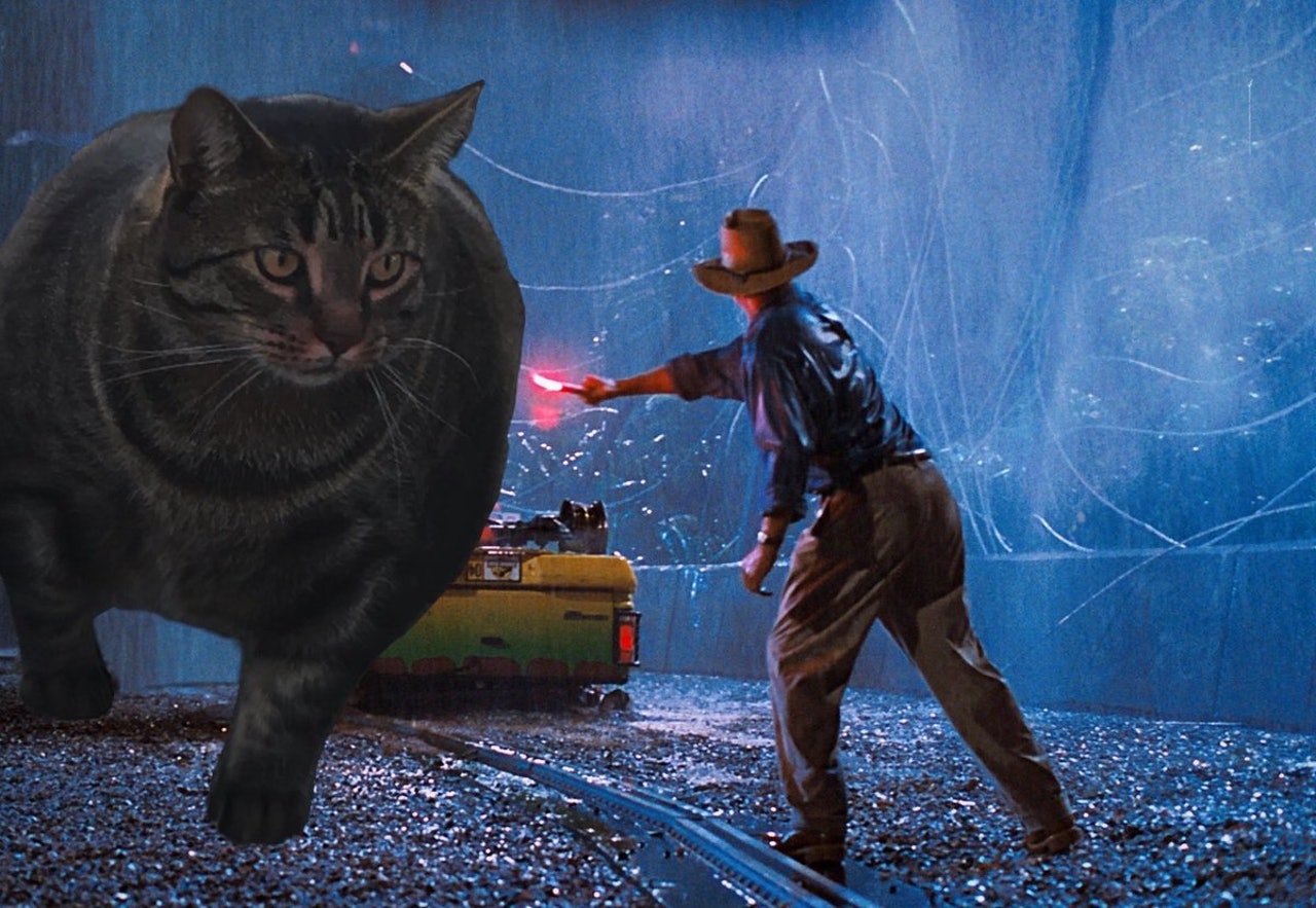 $!title_without_url!$