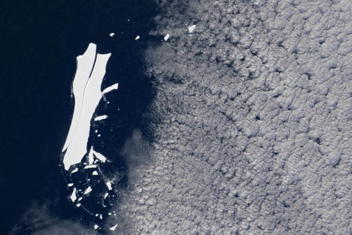 $!title_without_url!$