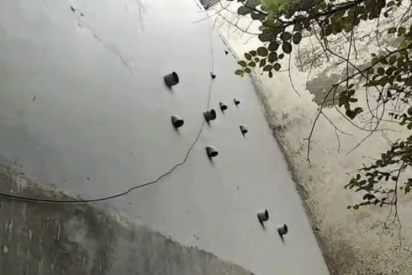 $!title_without_url!$