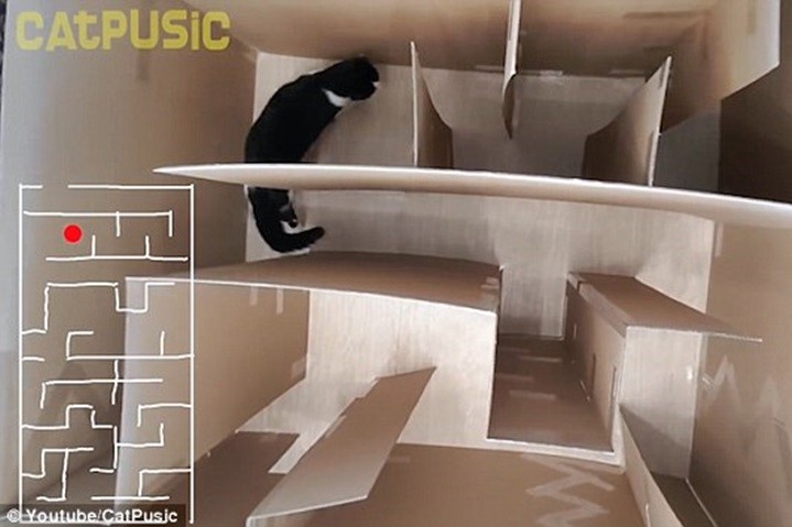 $!title_without_url!$