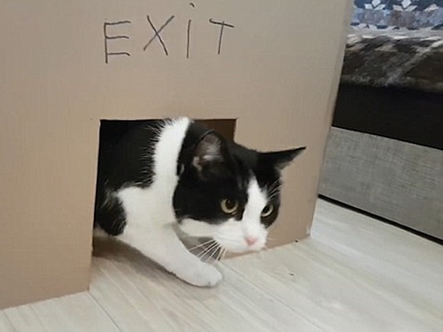 $!title_without_url!$