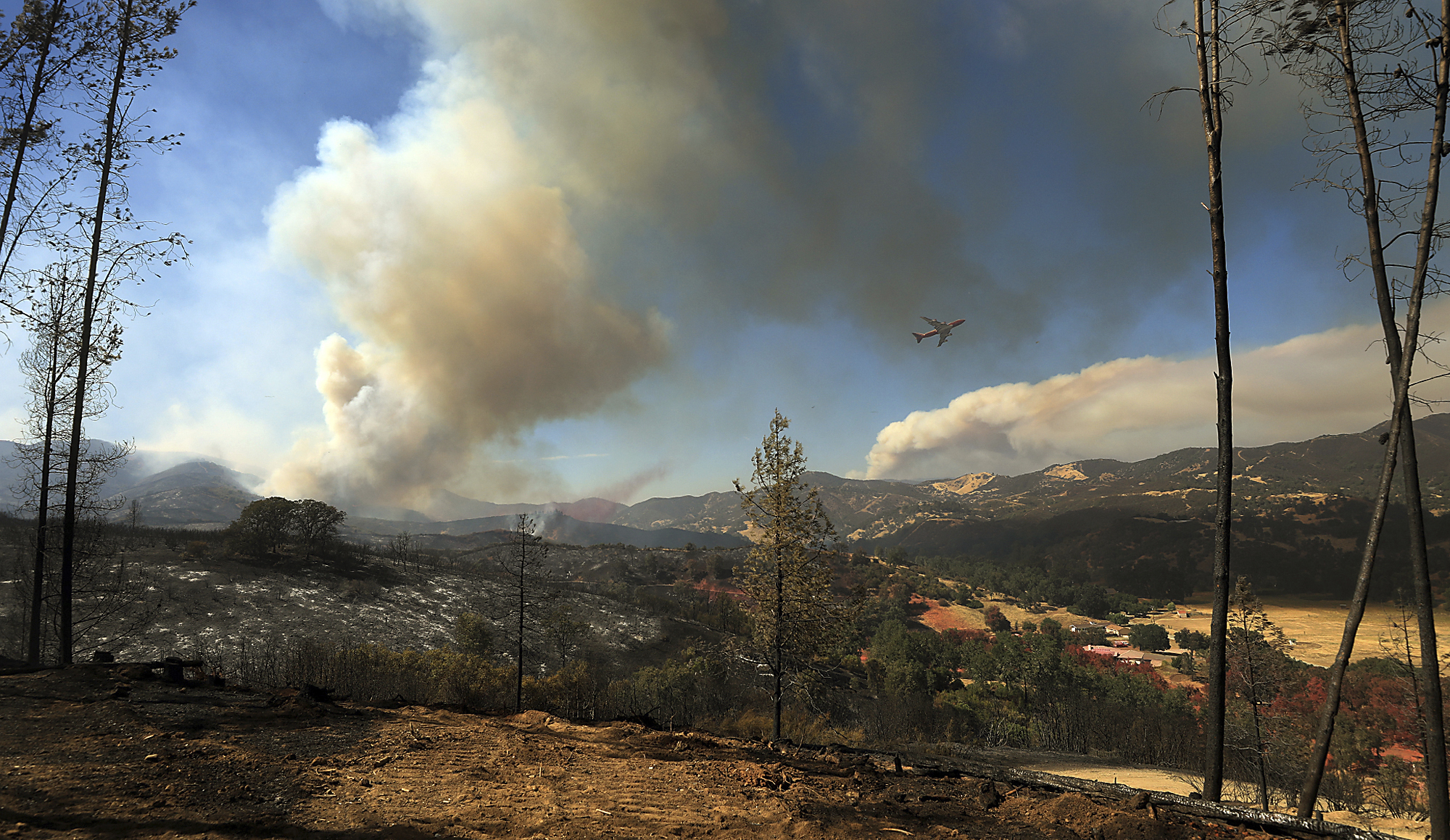 $!title_without_url!$