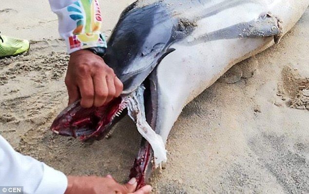 $!title_without_url!$