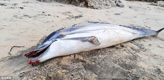 $!title_without_url!$