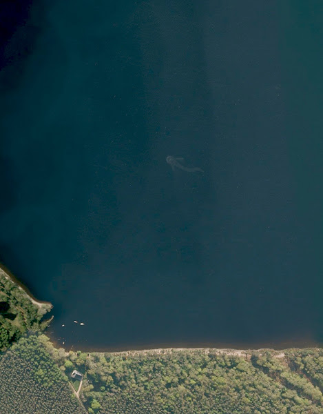 $!title_without_url!$