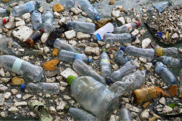 $!title_without_url!$