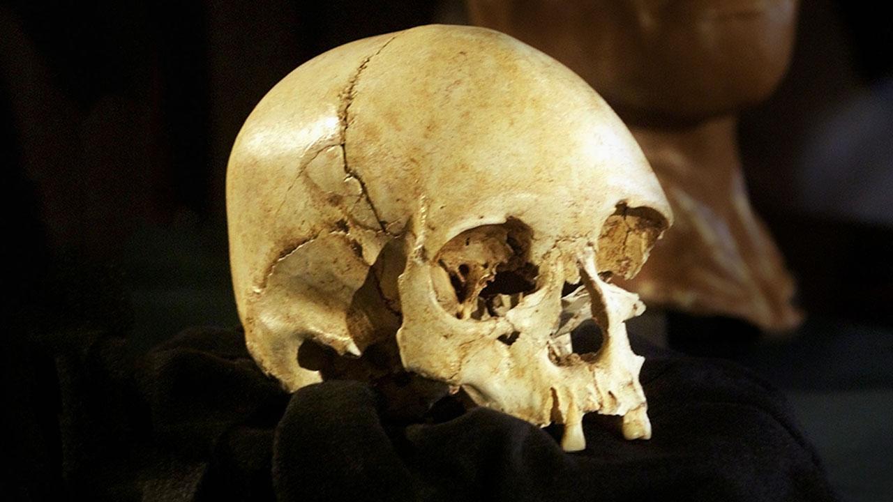 $!title_without_url!$