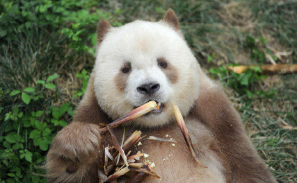 $!title_without_url!$