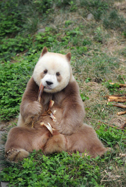 $!title_without_url!$