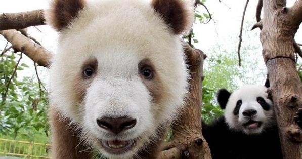 $!title_without_url!$