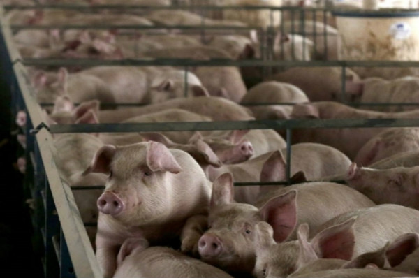 $!title_without_url!$