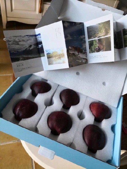 $!title_without_url!$