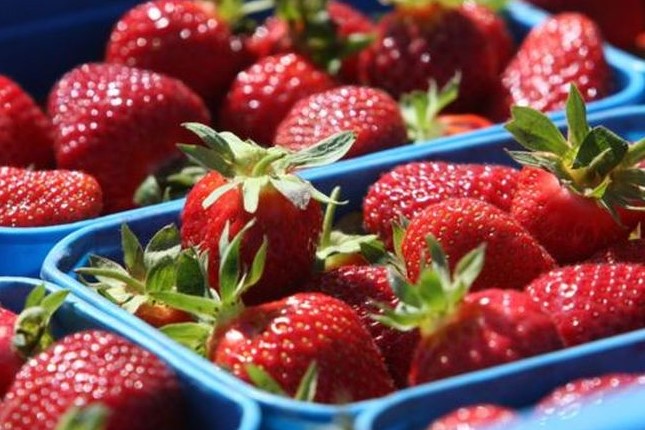 $!title_without_url!$