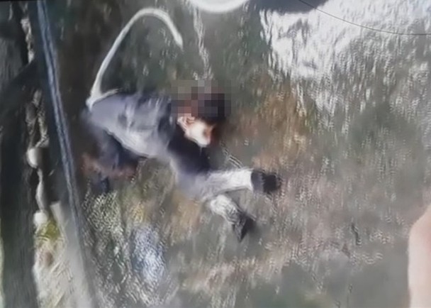 $!title_without_url!$