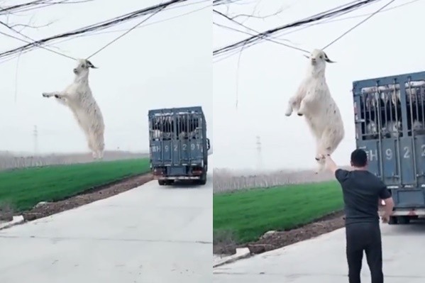 $!title_without_url!$