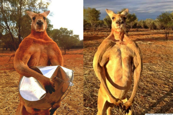 $!title_without_url!$