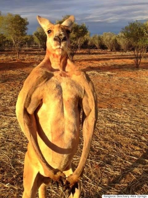 $!title_without_url!$