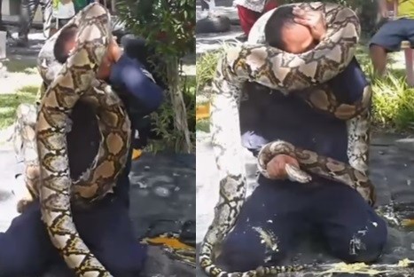 $!title_without_url!$