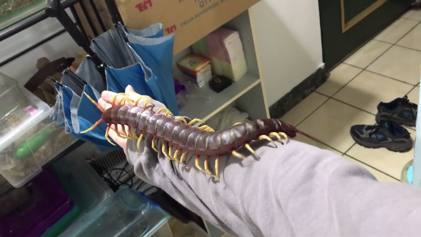 $!title_without_url!$