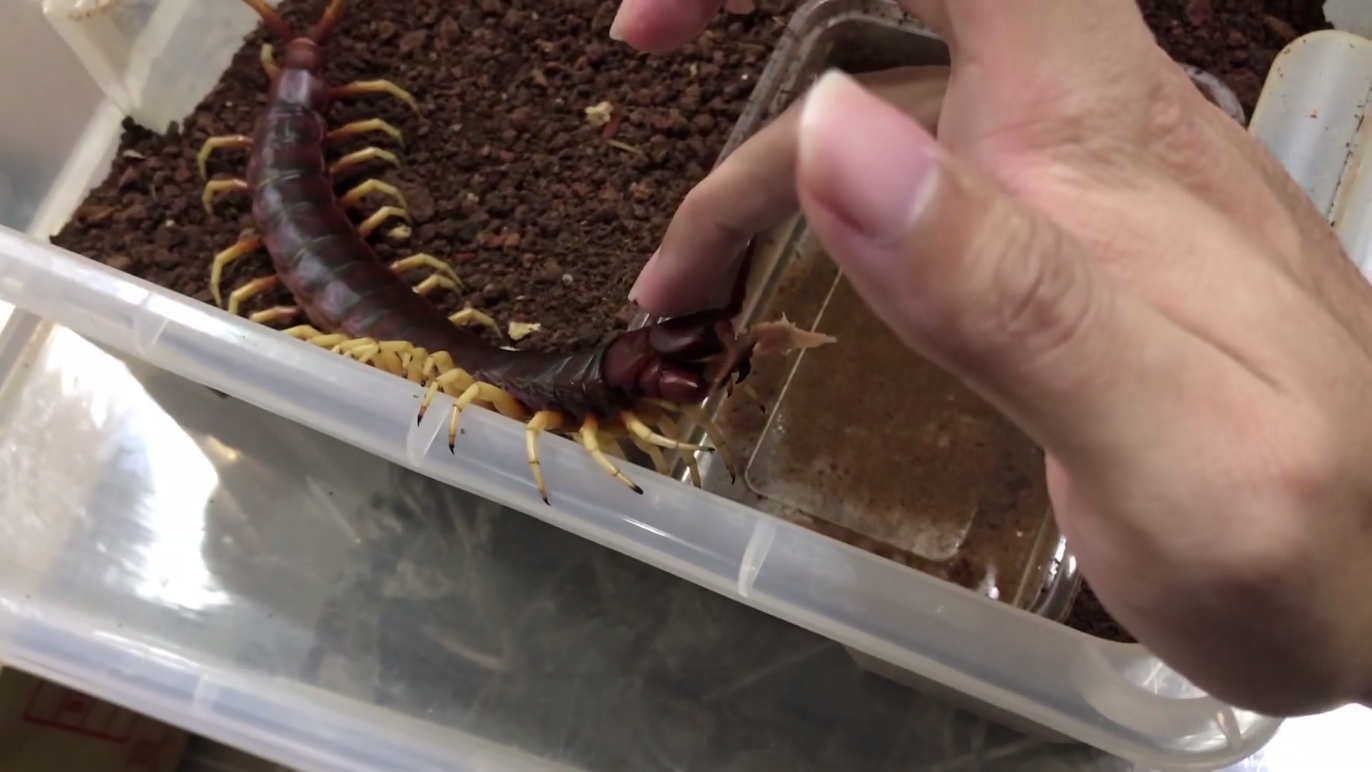 $!title_without_url!$