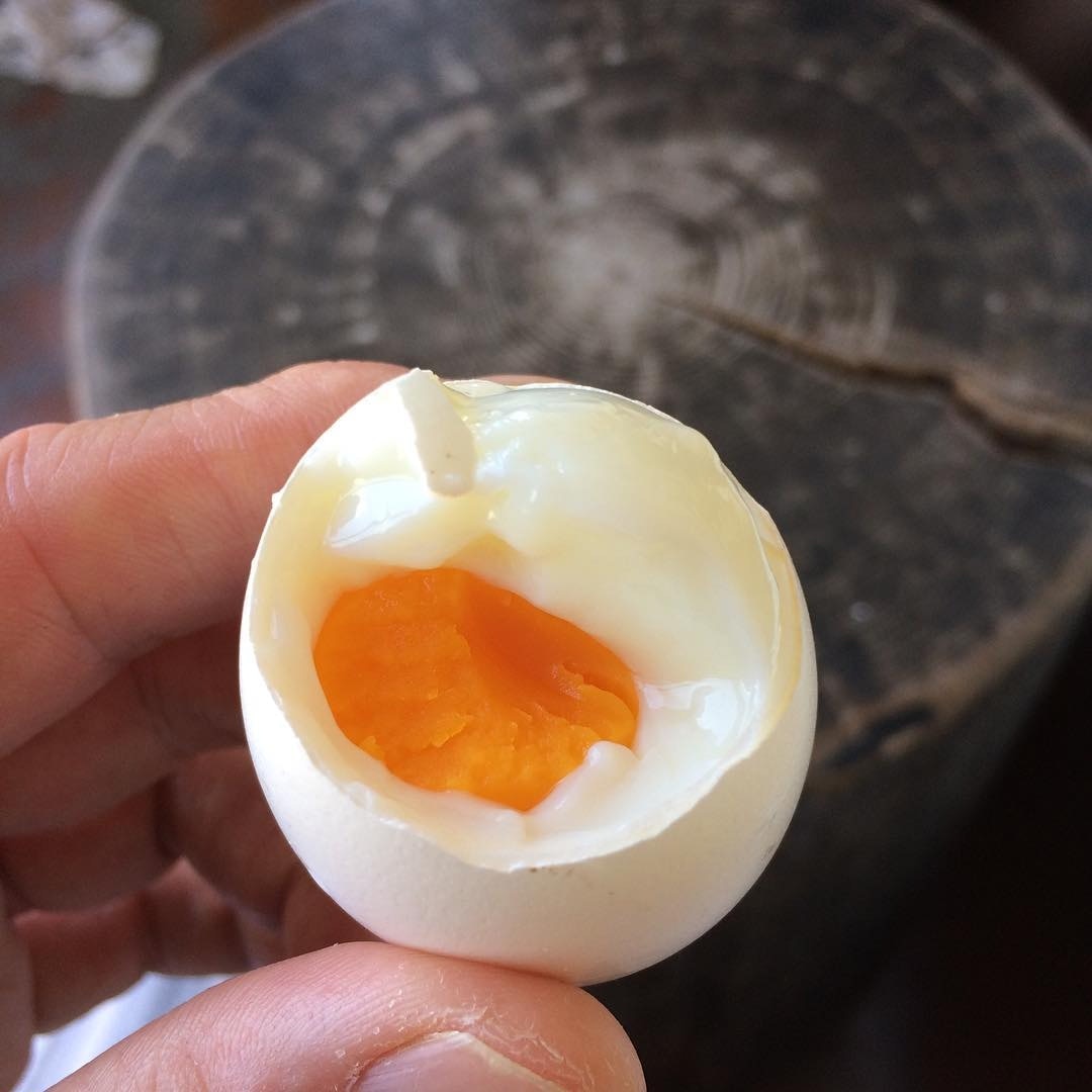 $!title_without_url!$