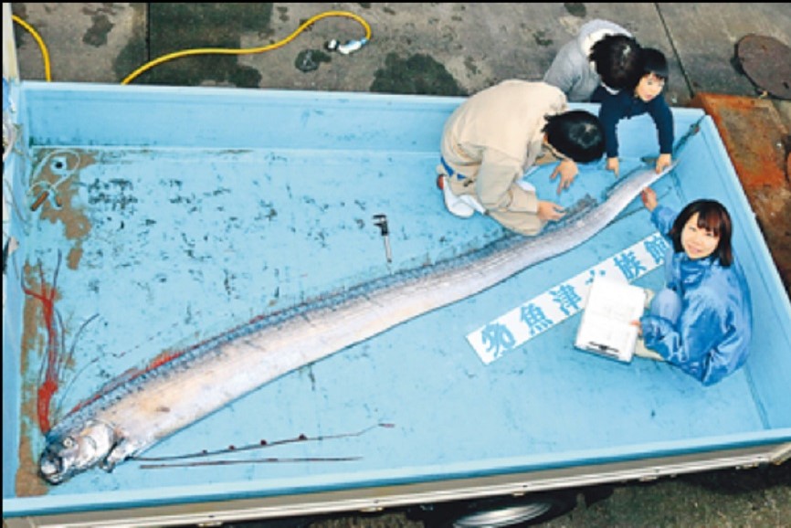 $!title_without_url!$