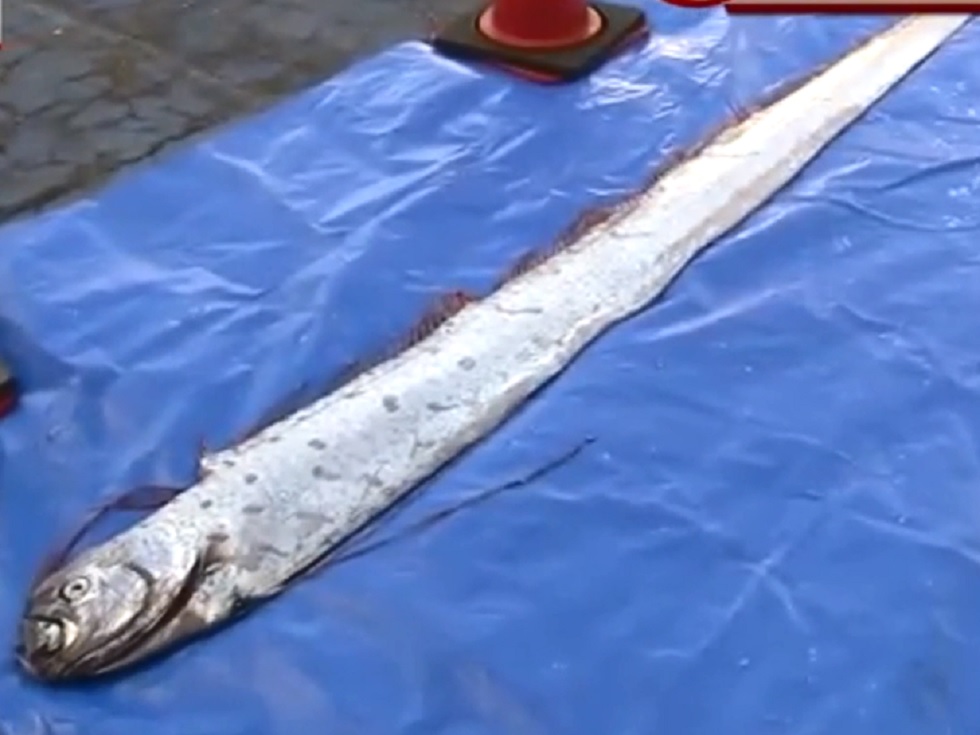 $!title_without_url!$