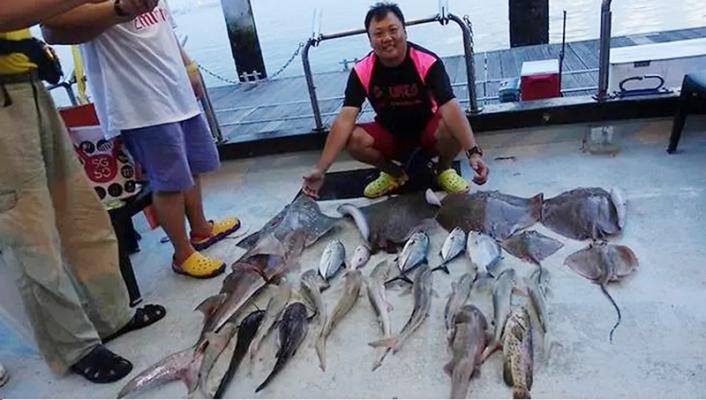 $!title_without_url!$