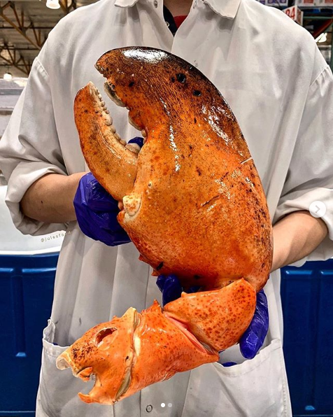 $!title_without_url!$