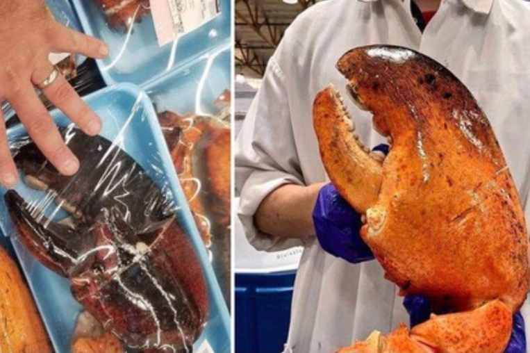 $!title_without_url!$