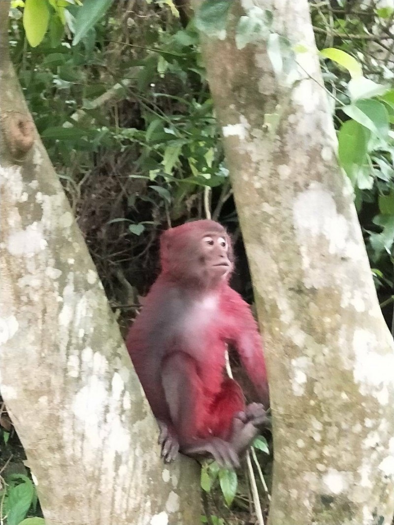 $!title_without_url!$